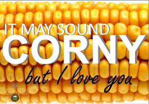 It may sound corny but I love you Valentine