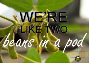 We're like two beans in a pod Valentine