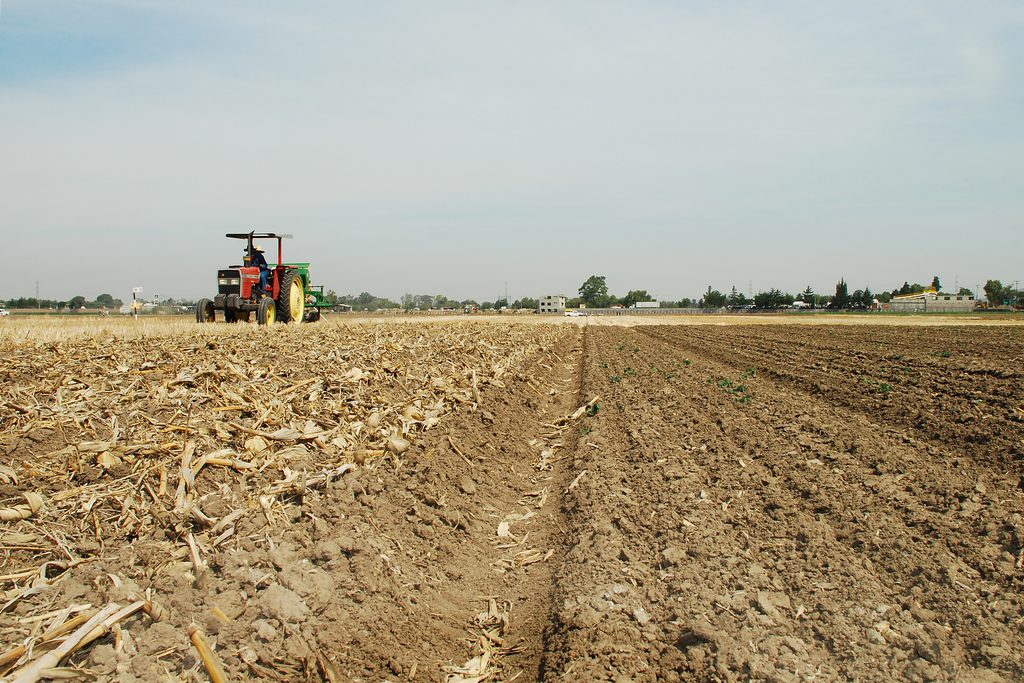 Zero tillage seeder at work