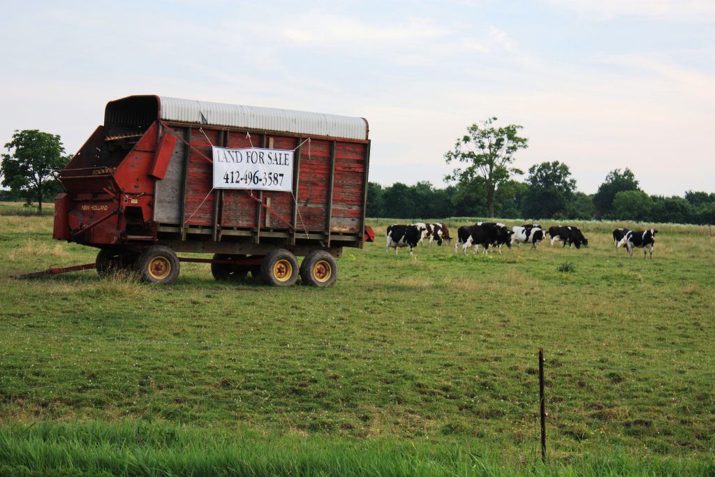 Farm Land for Sale in Upper Providence