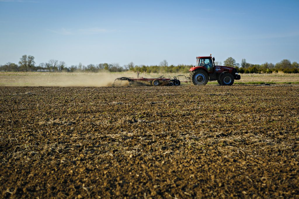 Corn Variety Planting