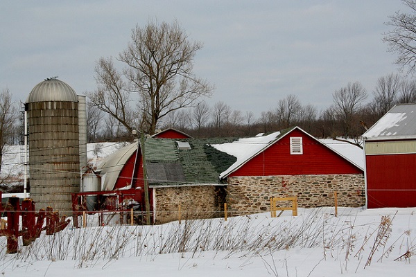 winter farm