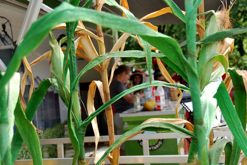 Model plants in the Growing Connections trailer on Canada Day