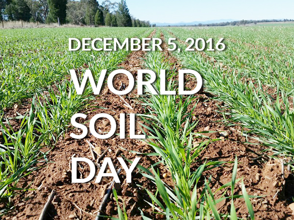 World Soil Day