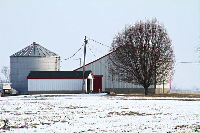 Farm in the winter