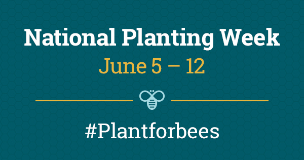 BeesMatter National Planting Week logo