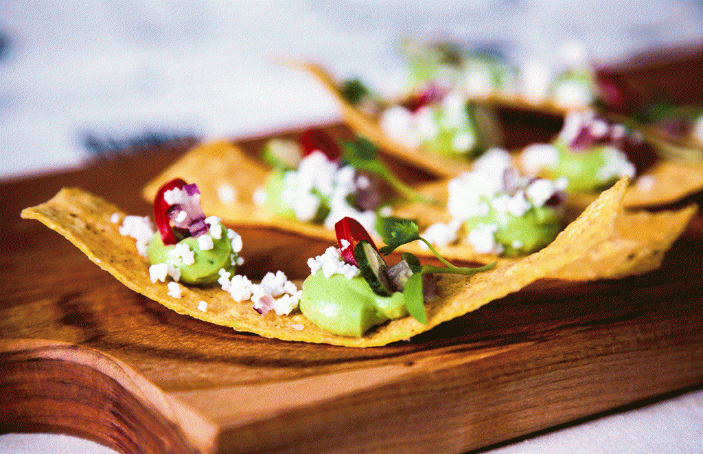 Whipped avocado and cilantro puree with roasted corn tostadas