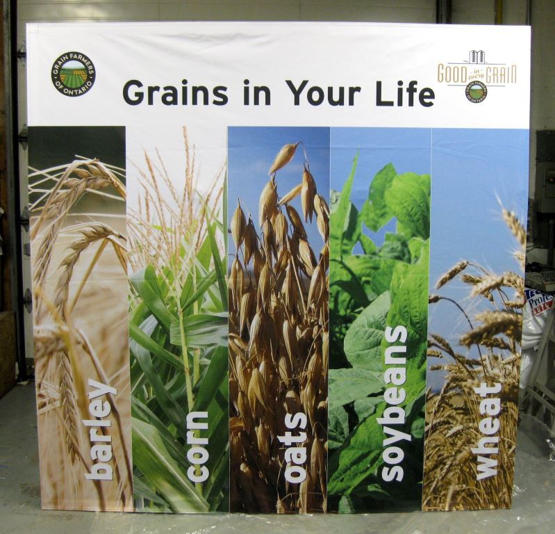 Grains in Your Life display