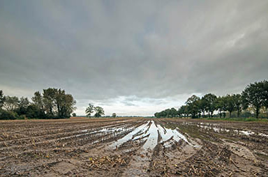 a muddy field with tire tracks