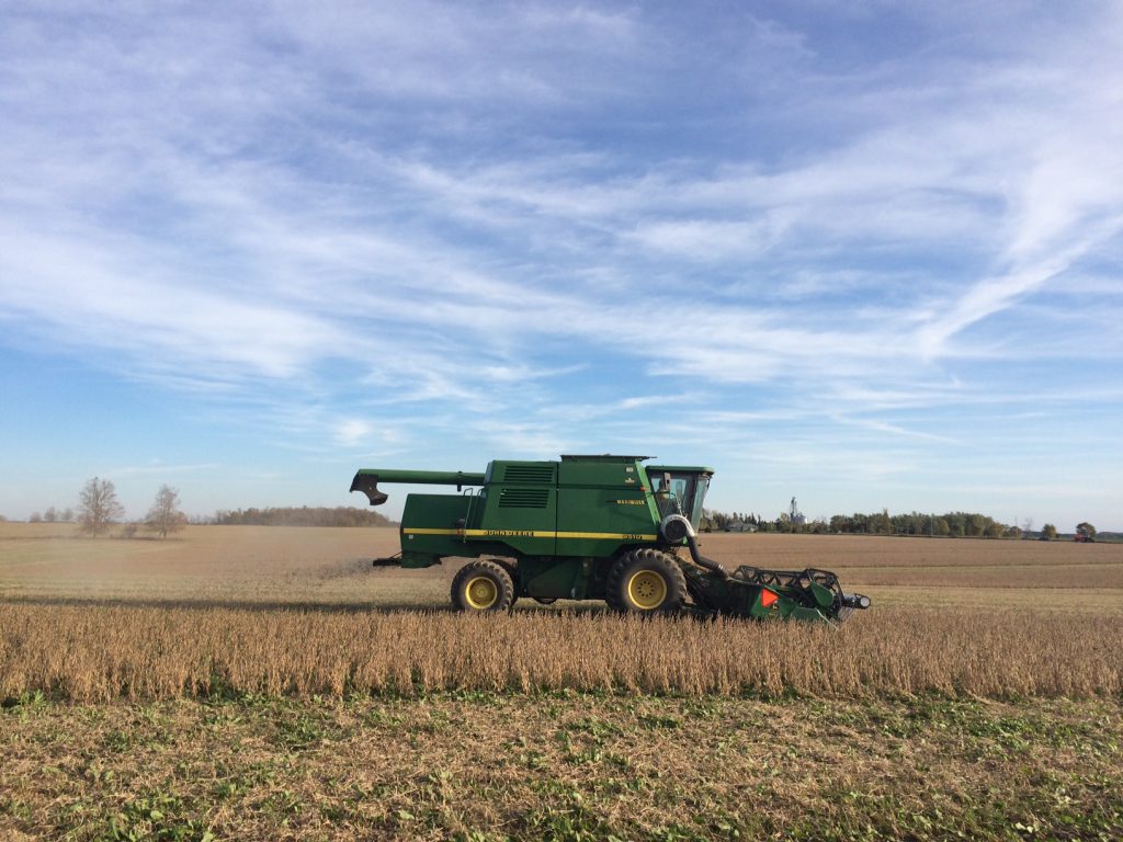 green combine harvesting soybeans 