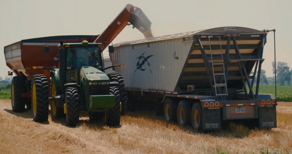 grain buggy unloading wheat into truck