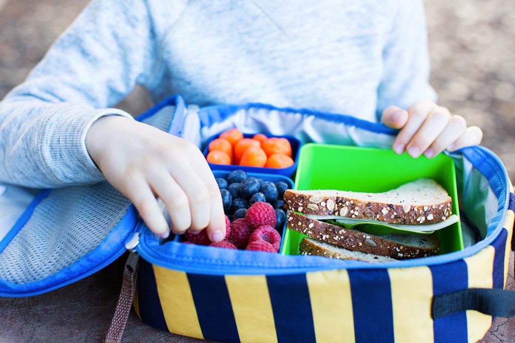 schoolboy enjoying recess and healthy lunch