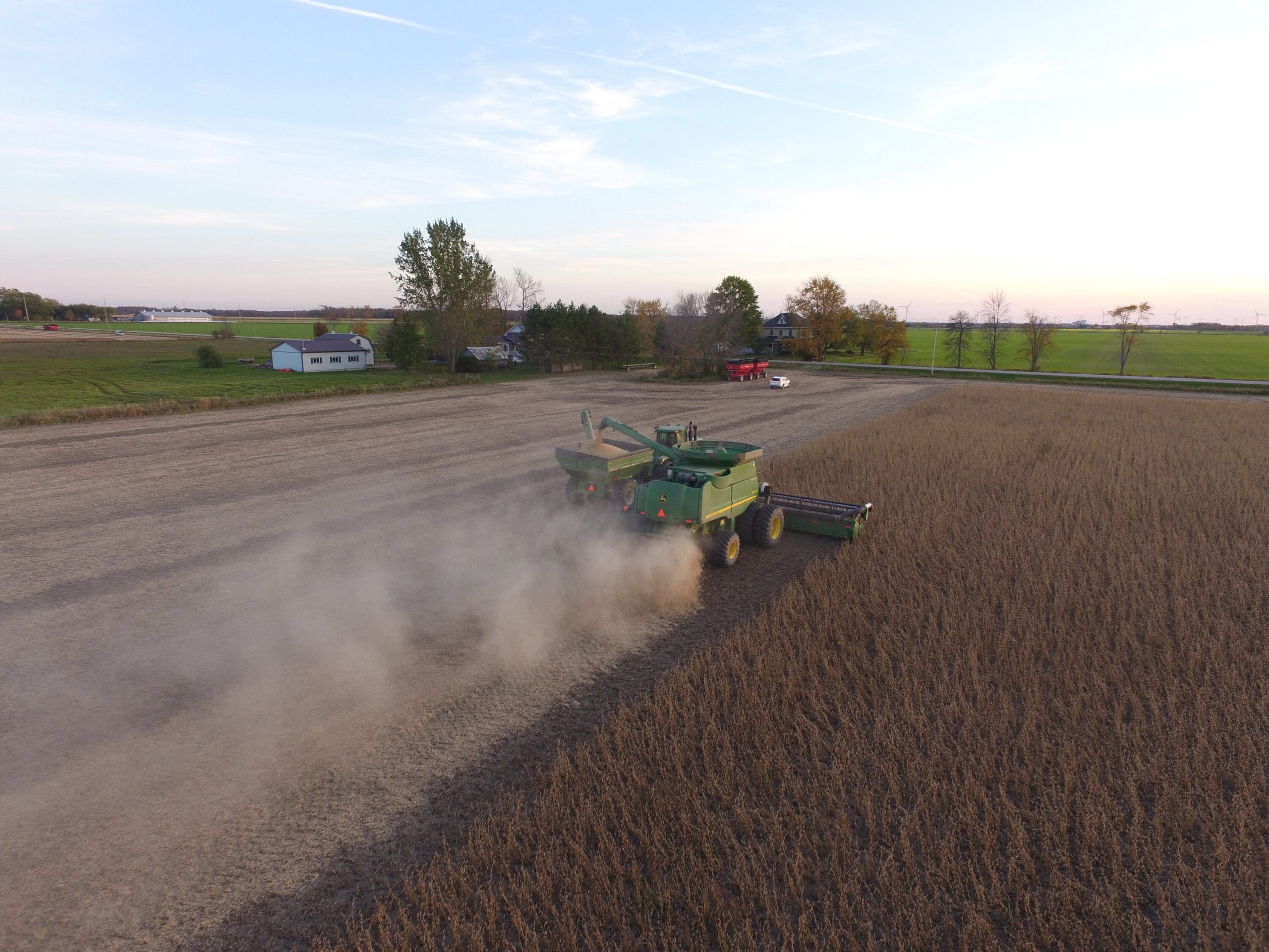 combine harvesting mature brown soybeans in a grain field in Ontario, Canada, and unloading mature soybeans into a grain buggy.