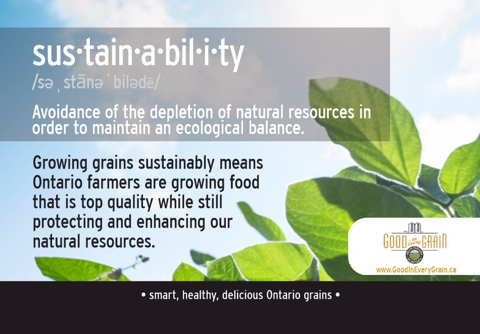 sustainability definition