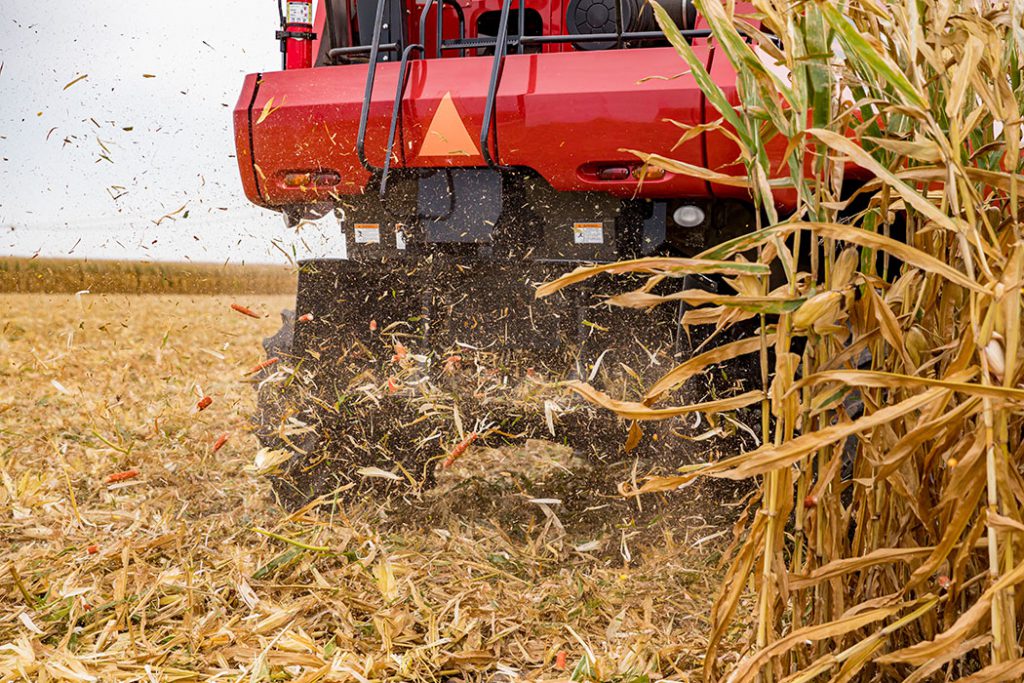 Closeup of chaff spreader on combine harvester harvesting cornfield. Corn trash of cobs, stalks, and debris thrown from rear of combine