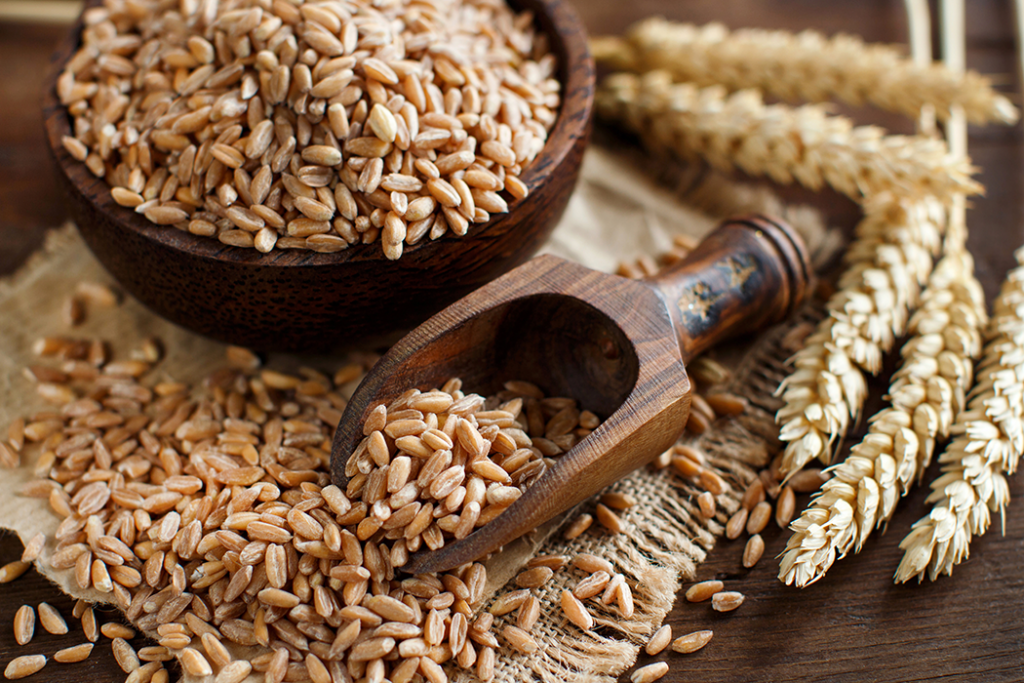 How to cook grains: Wheat - Good in Every Grain