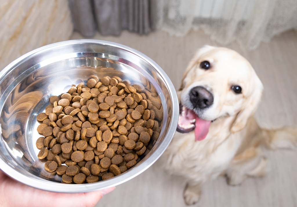 Golden retriever shop grain free food