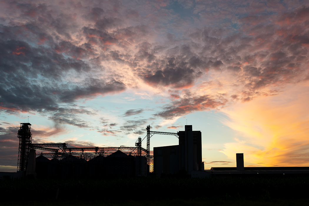 Behind The Scenes In A Canadian Feed Mill Good In Every Grain   Canadian Fed Mill Tour 