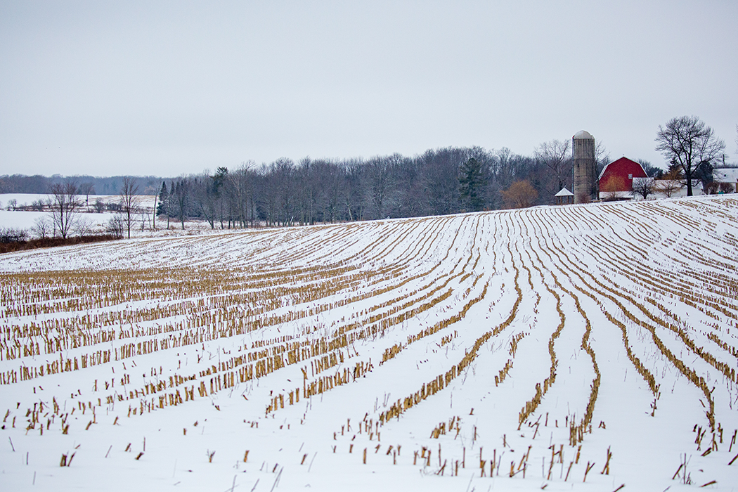 Facts for Teachers: Winter and Farming - Good in Every Grain