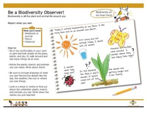 Biodiversity Activity In Your Backyard! - Good In Every Grain