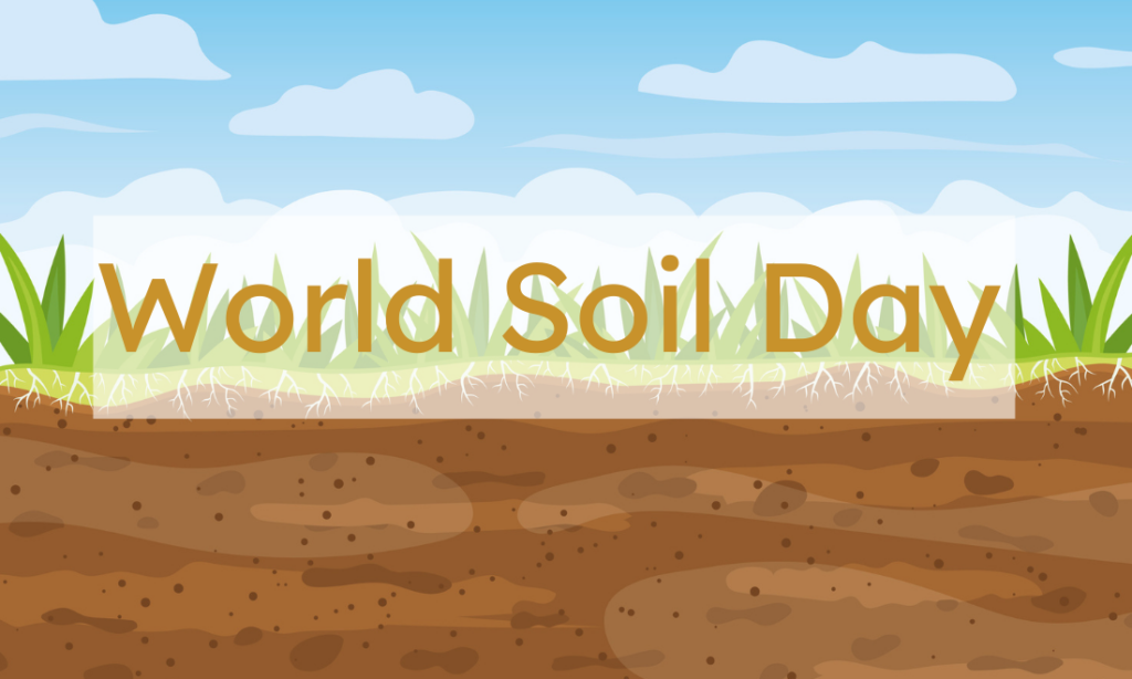 Celebrate World Soil Day Good in Every Grain